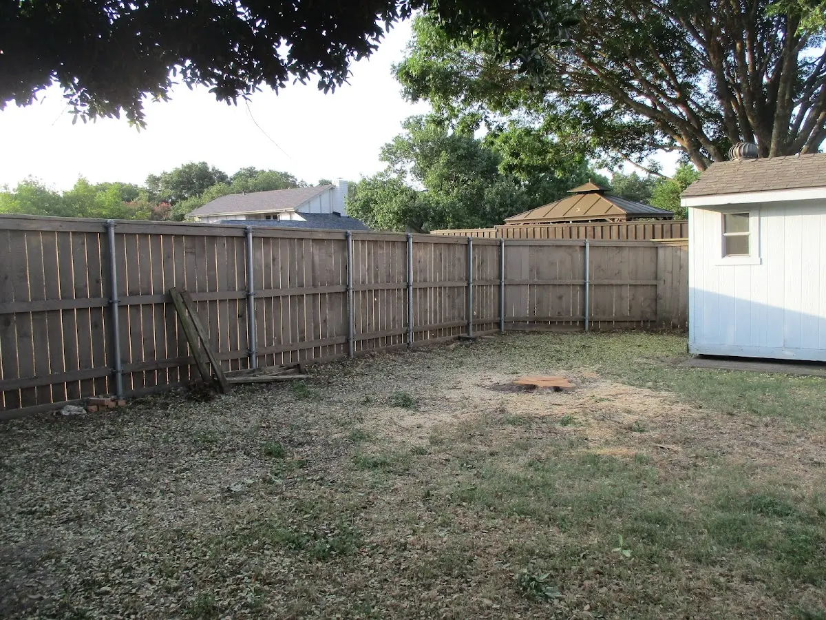 Cleared yard after professional tree removal in Traskwood